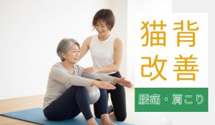 🔸猫背改善/腰痛/肩こりの方のイメージ